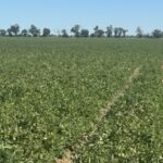 Property photo for land for sale in Yolo County California