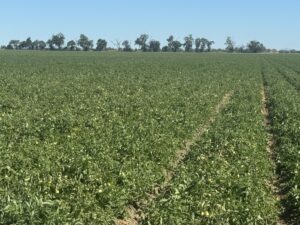 Property photo for land for sale in Yolo County California