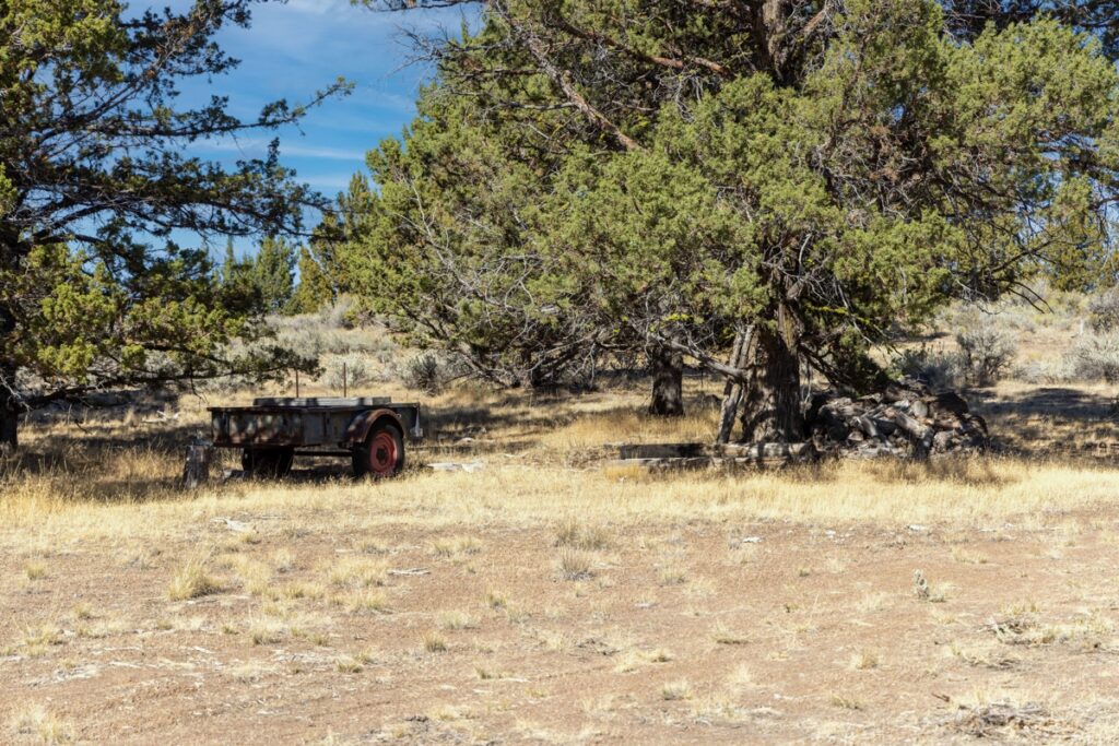 ca4fb518-35db-4d57-8b14-8d330ad94f19.jpg