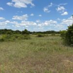 Property photo for land for sale in  County Texas