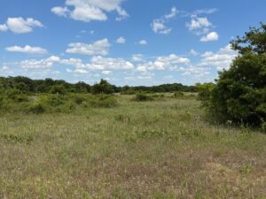 Property photo for land for sale in  County Texas