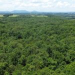 Property photo for land for sale in Marion County Arkansas