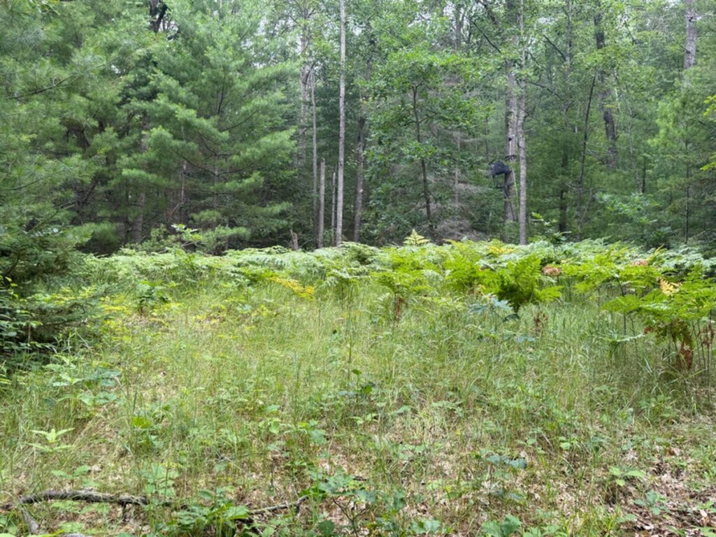Property photo for land for sale in Montmorency County Michigan