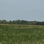 Property photo for land for sale in  County Canada