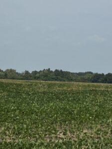 Property photo for land for sale in  County Canada