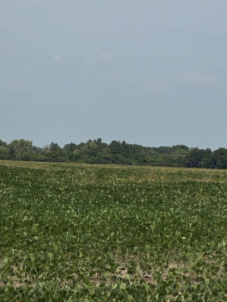 Property photo for land for sale in County Canada