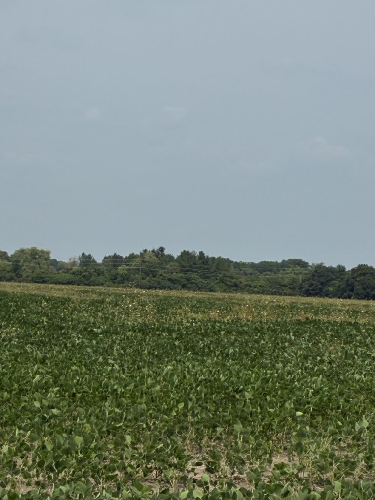 cc28675c-ad64-4fe0-a690-f1540734bd06.jpg