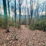Property photo for land for sale in Cumberland County Tennessee