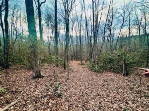Property photo for land for sale in Cumberland County Tennessee