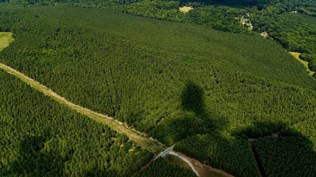 Property photo for land for sale in Campbell County Virginia