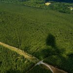 Property photo for land for sale in Campbell County Virginia