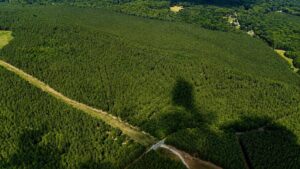 Property photo for land for sale in Campbell County Virginia