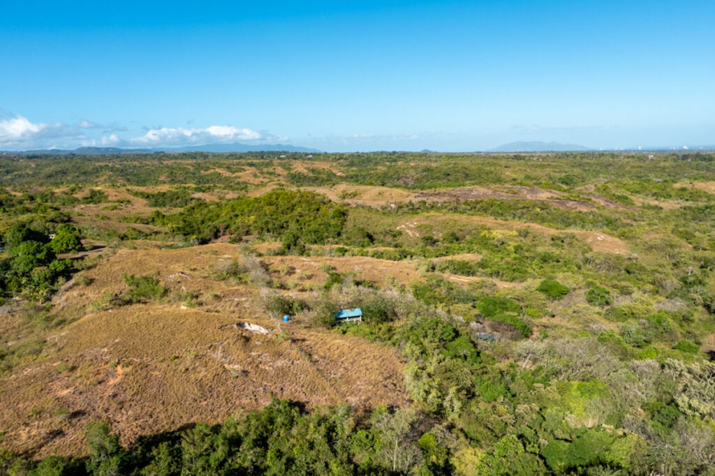 Property photo for land for sale in  County Panama