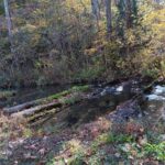 Property photo for land for sale in Hawkins County Tennessee