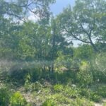 Property photo for land for sale in Bee County Texas
