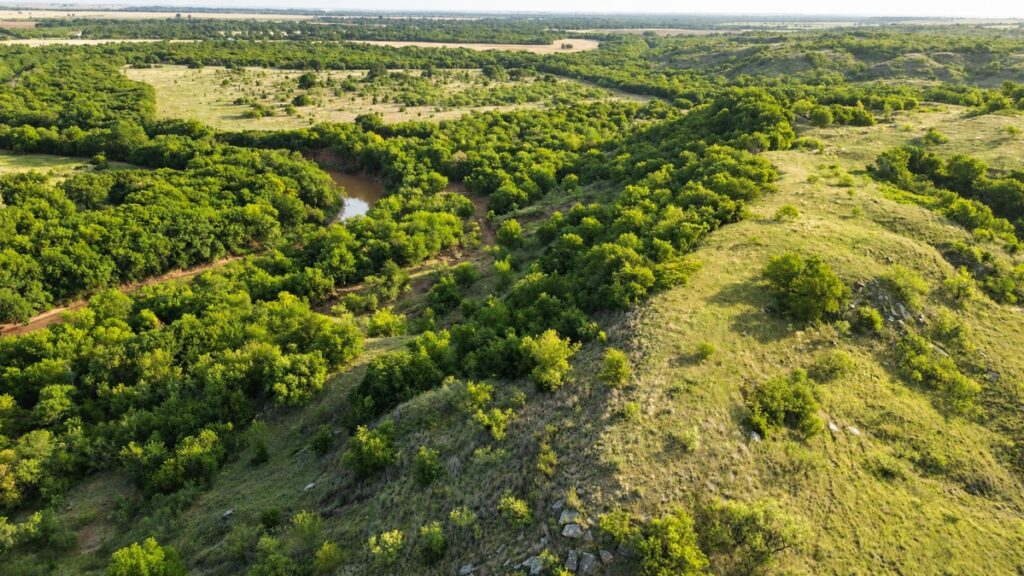 Property photo for land for sale in Clay County Texas