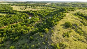 Property photo for land for sale in Clay County Texas