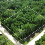 Property photo for land for sale in Levy County Florida