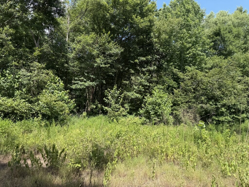 d54f68fb-1f0e-4812-9aa4-6fedf37b7e48.jpg