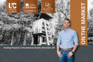 Property photo for land for sale in Randolph County Arkansas