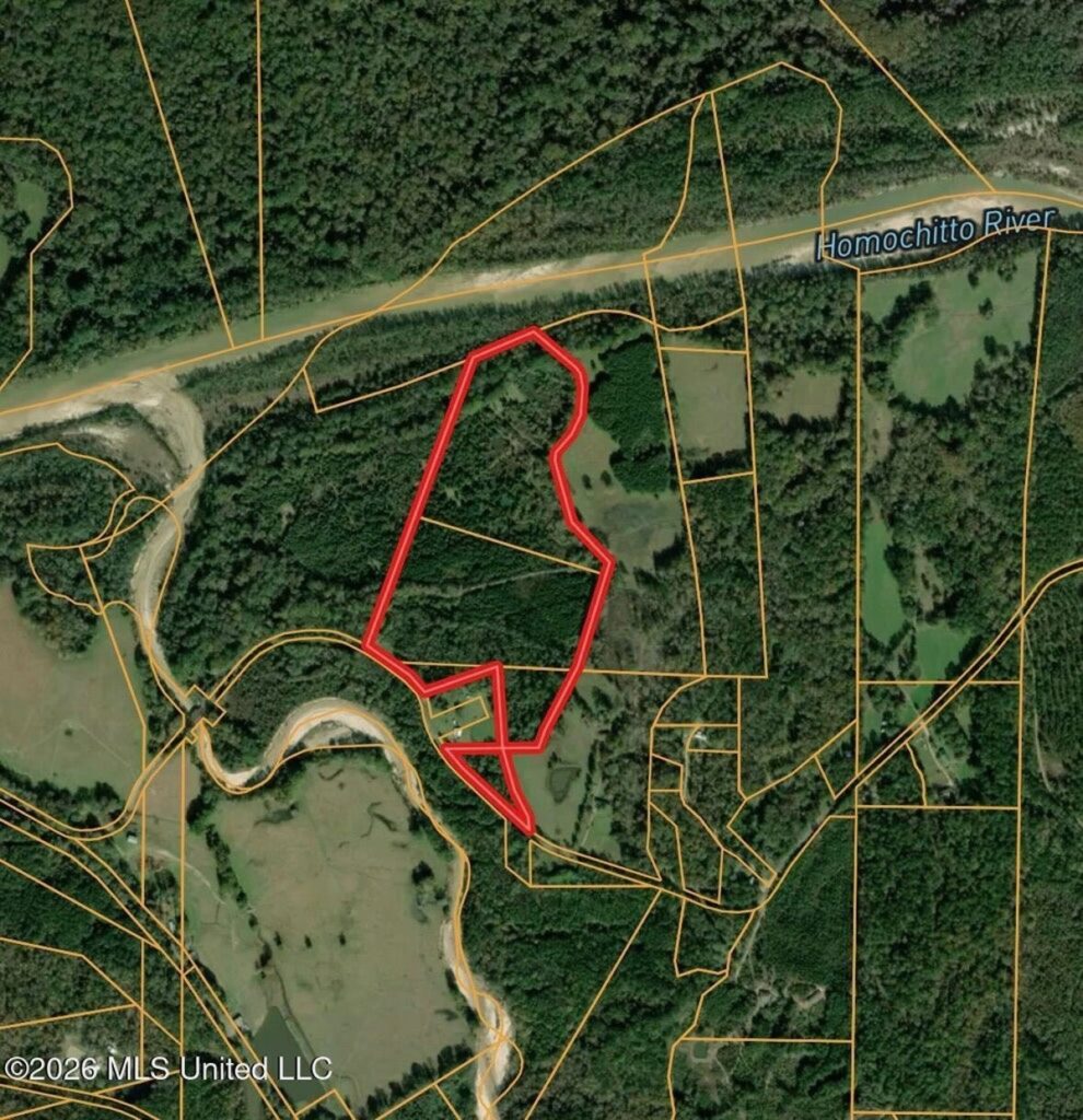 Property photo for land for sale in Amite County Mississippi