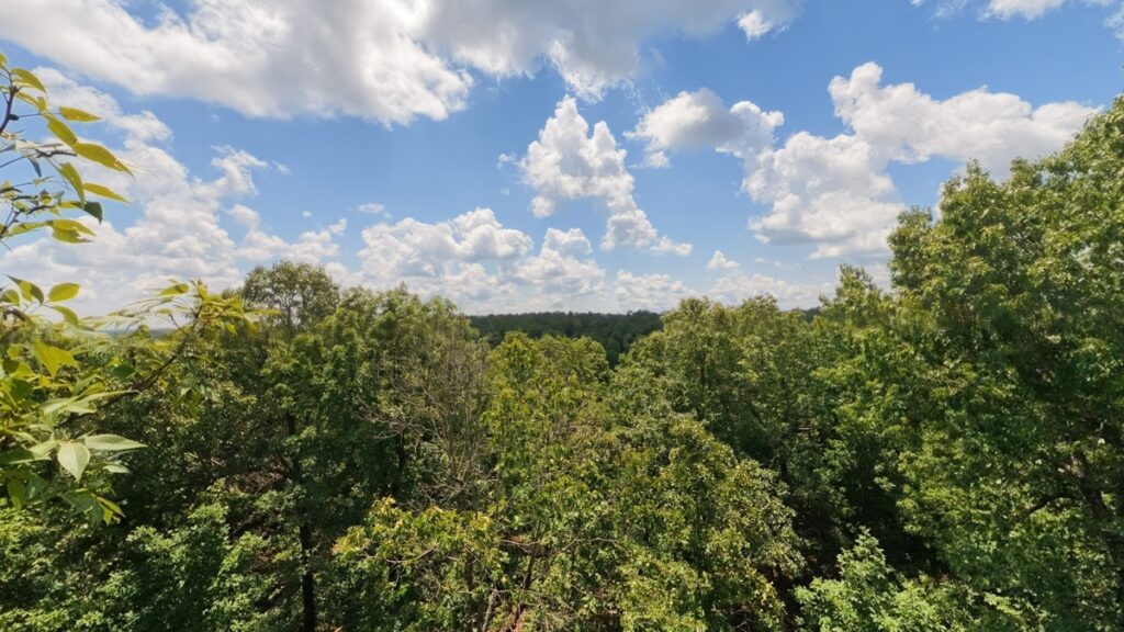 d92dff3e-ad9e-43b8-b258-94c96328e4b0.jpg