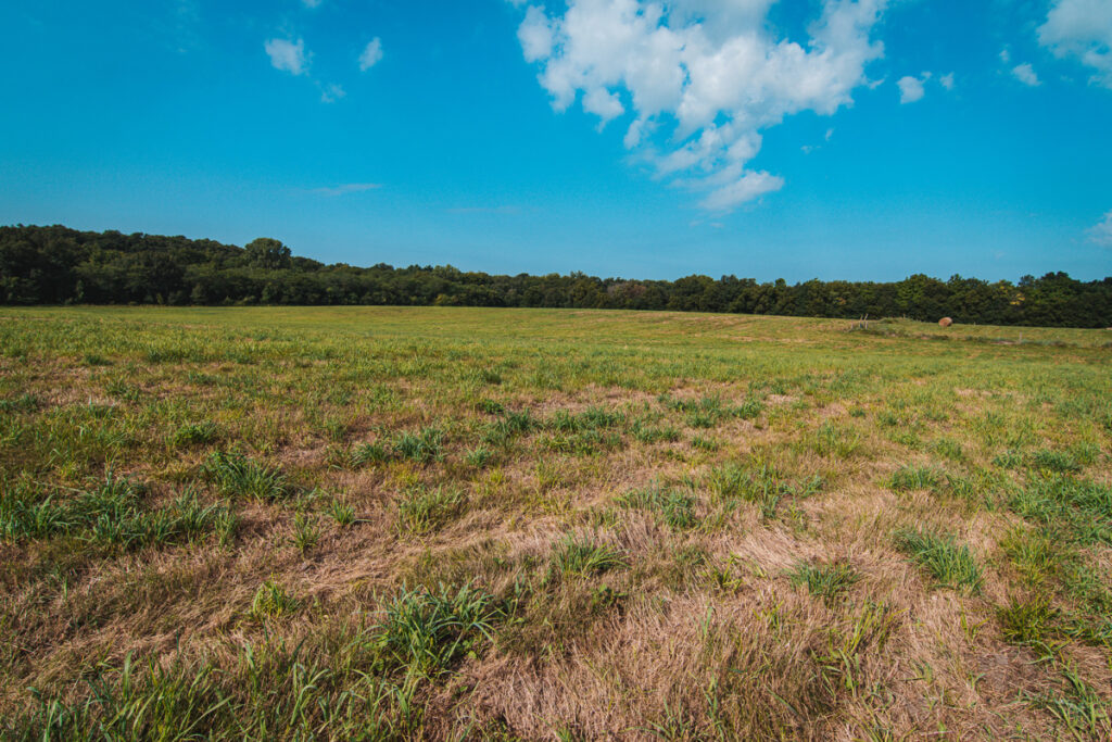 Property photo for land for sale in Clinton County Missouri