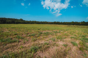 Property photo for land for sale in Clinton County Missouri