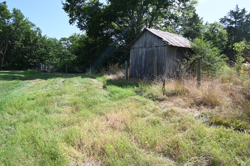 da605352-5010-4aee-9173-1455e293a58d.jpg