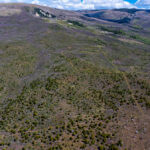 Property photo for land for sale in Delta County Colorado