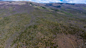 Property photo for land for sale in Delta County Colorado