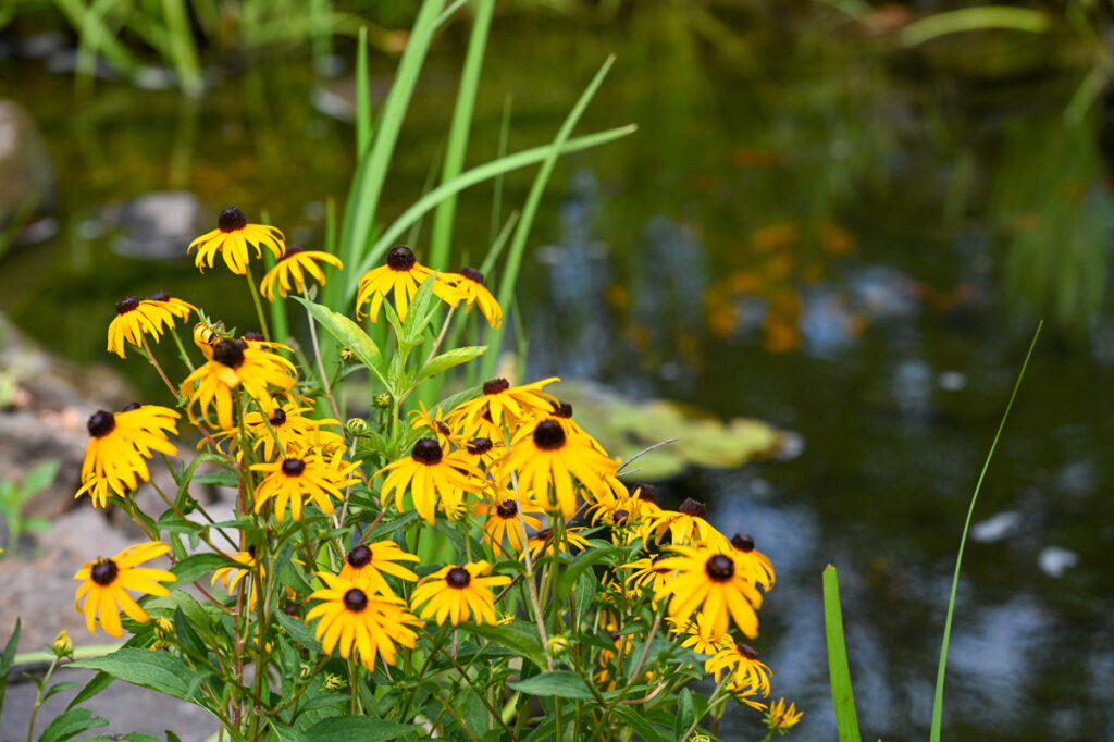 dc2ed980-9d0f-4592-b117-c4d342eca25b.jpg