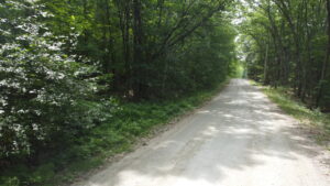 Property photo for land for sale in Lincoln County Maine