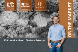 Property photo for land for sale in Fulton County Arkansas