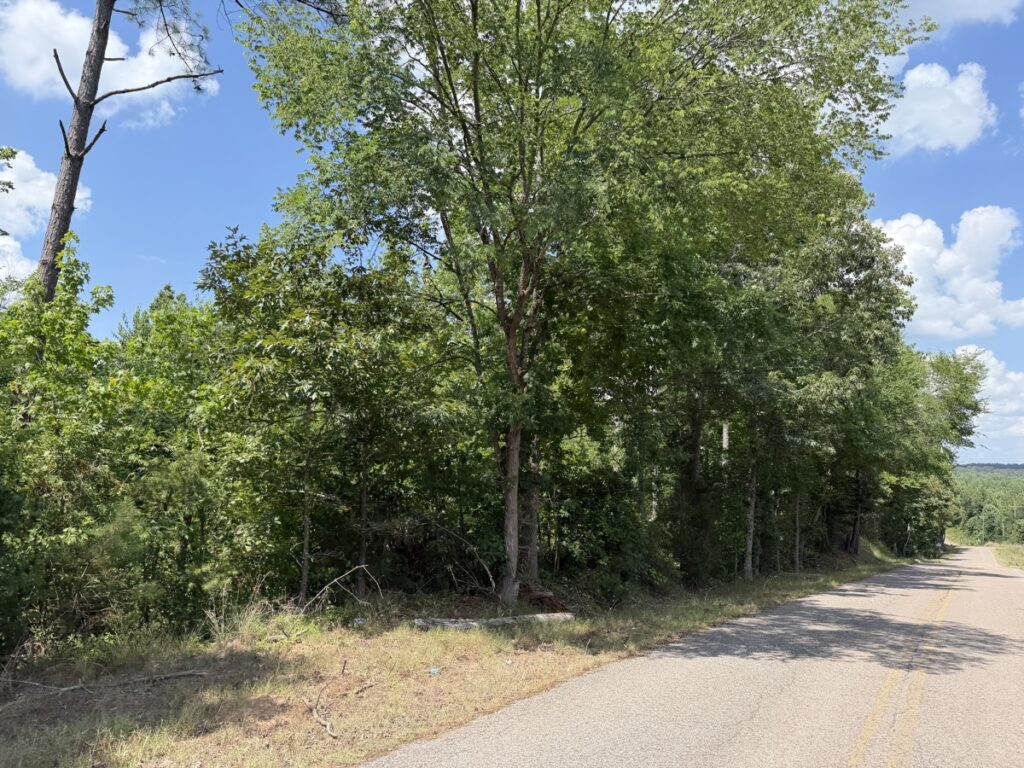 Property photo for land for sale in McNairy County Tennessee