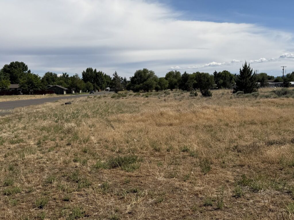 e3024d18-5ebb-45e4-aec9-4373184e5682.jpg