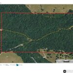 Property photo for land for sale in Marion County Arkansas