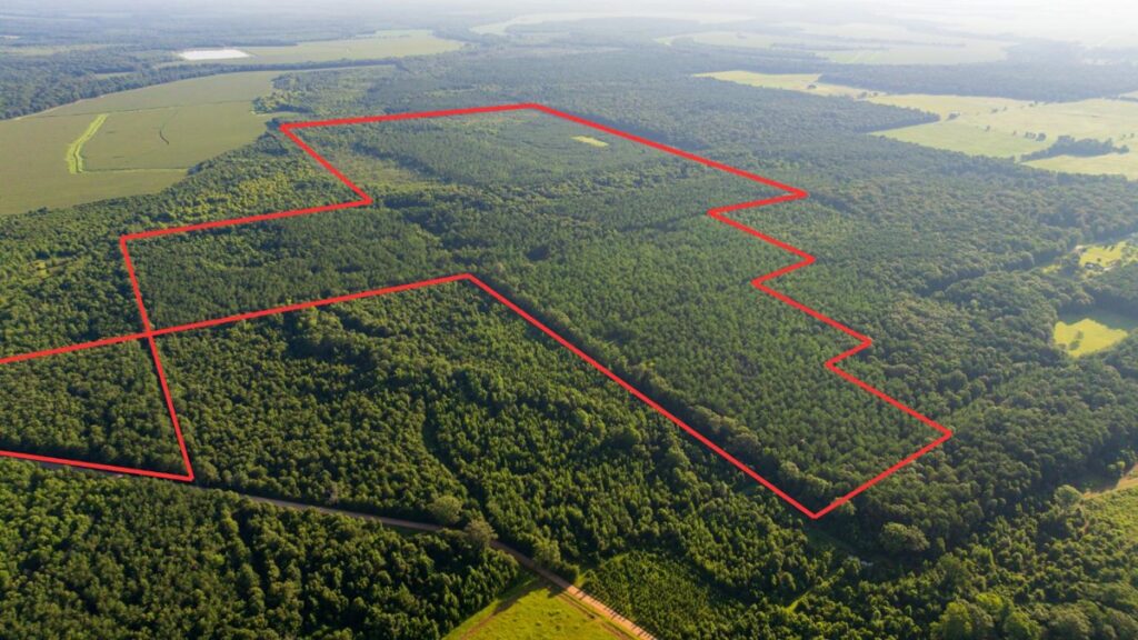 Property photo for land for sale in Morehouse County Louisiana