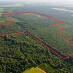 Property photo for land for sale in Morehouse County Louisiana