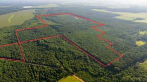 Property photo for land for sale in Morehouse County Louisiana