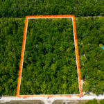 Property photo for land for sale in Suwannee County Florida