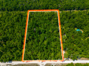 Property photo for land for sale in Suwannee County Florida