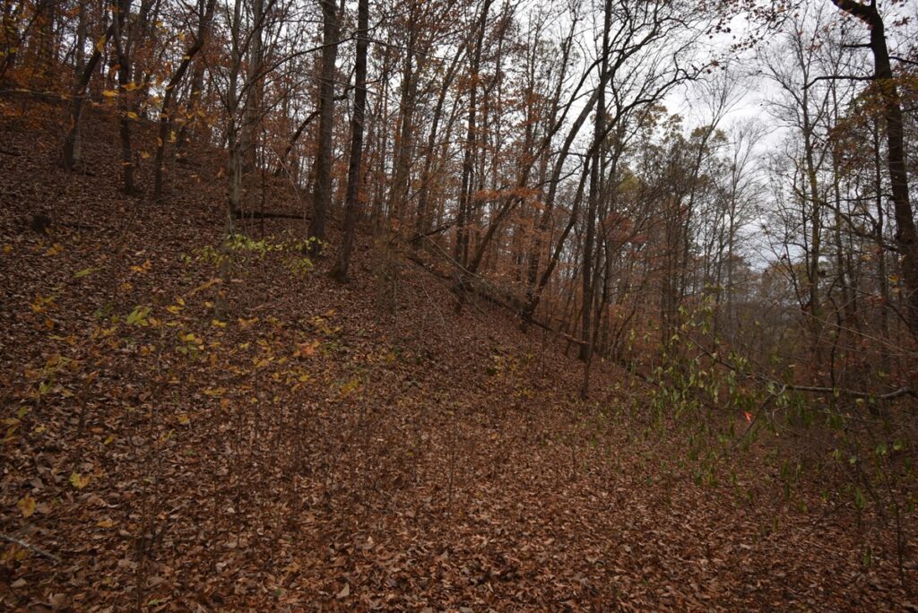 e587ad0a-b77c-44a2-8609-6050be369532.jpg