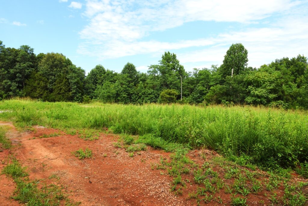 e5ab7527-a13d-4820-a779-6488ce954298.jpg