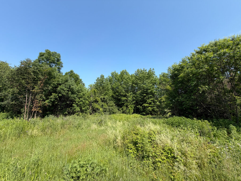 e5fde3d3-743e-4051-864c-47c659295481.jpg