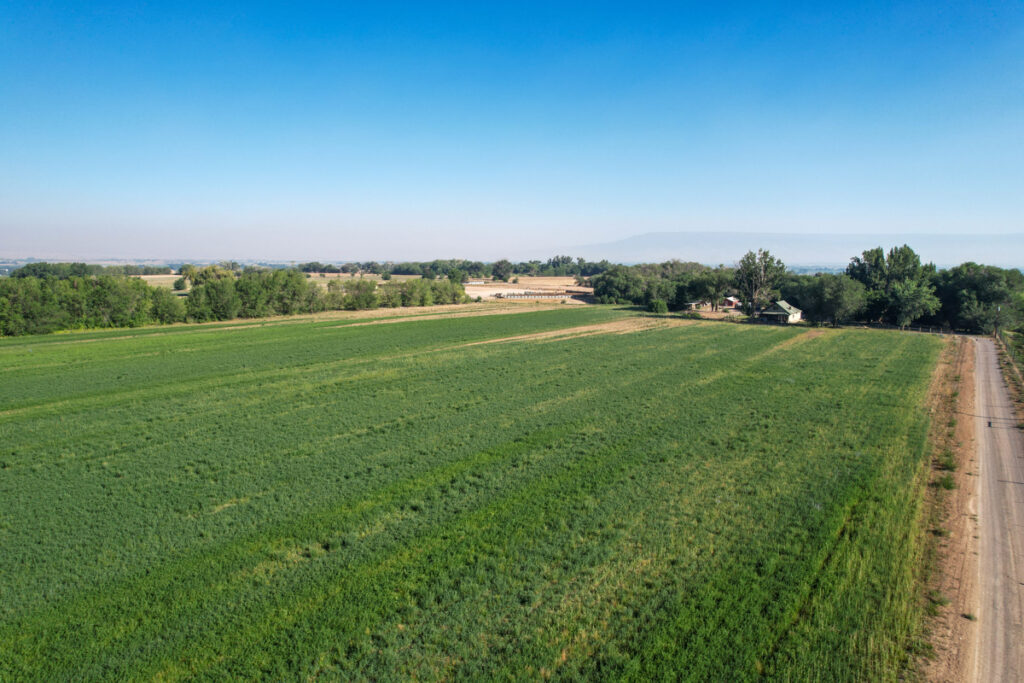 Property photo for land for sale in Montrose County Colorado