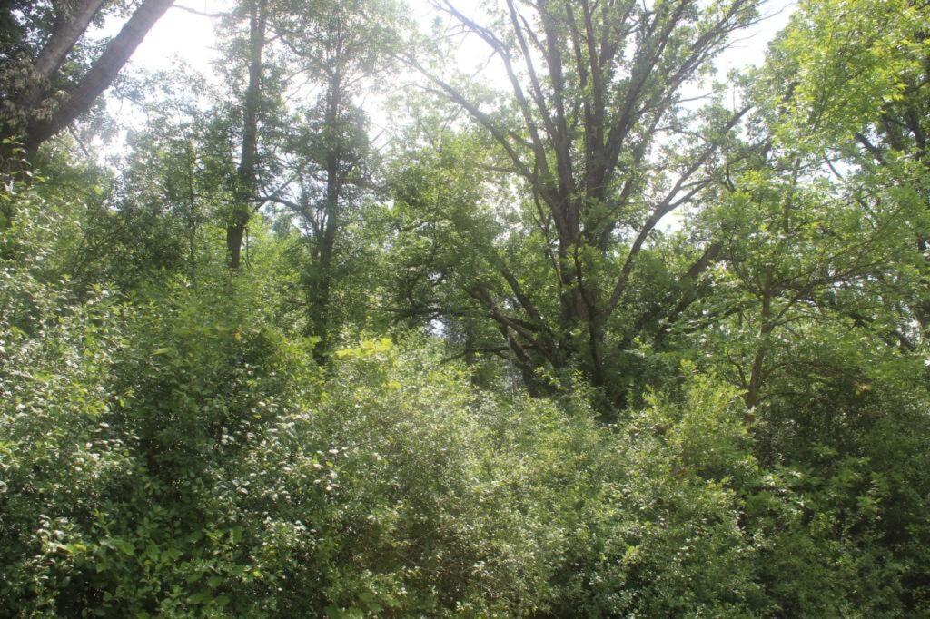 ebf9760e-9c08-4876-ab9a-c6866f378224.jpg
