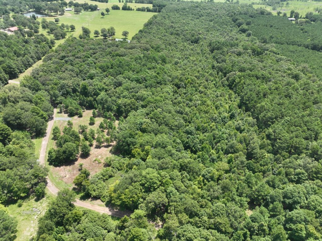 Property photo for land for sale in Cass County Texas