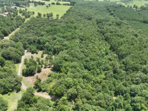 Property photo for land for sale in Cass County Texas