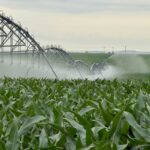 Property photo for land for sale in Sully County South Dakota